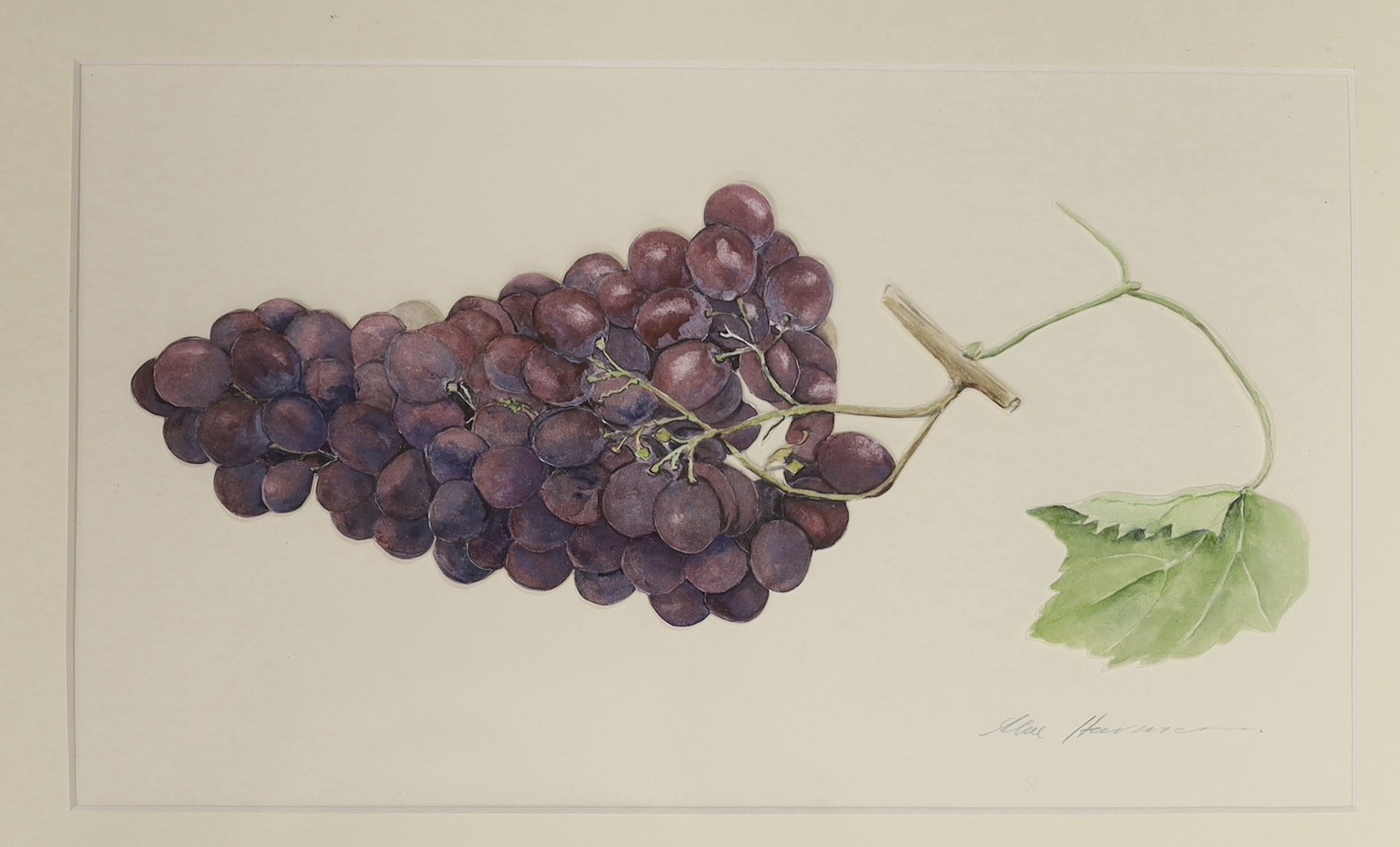 Alice Harman, three colour prints, Still lifes of vegetables and fruit, largest 41 x 29cm